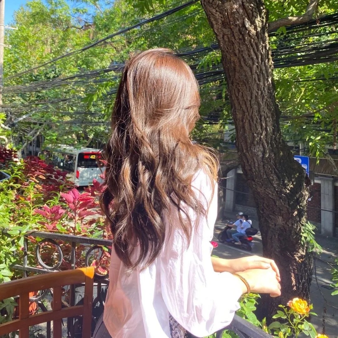 星蝶公主第四季